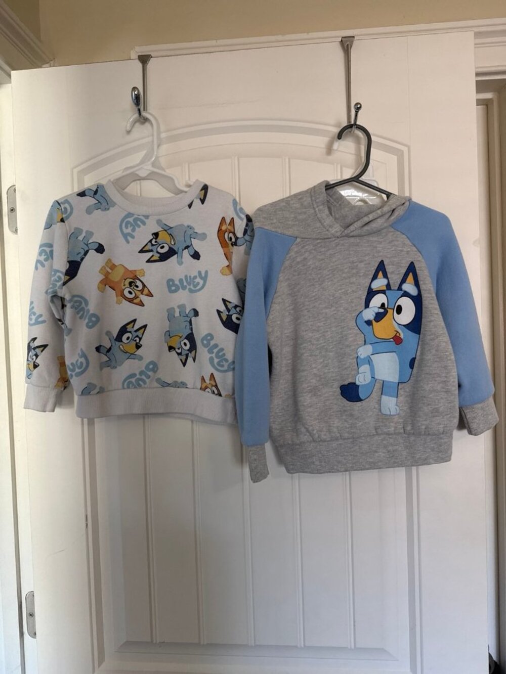 Bluey 2 - 4T sweatshirts
